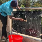 Worried About Your New Home? Discover Move-In Cleaning Costs in Nairobi