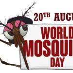 World Mosquito Day: Raising Awareness, Protecting Lives